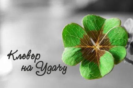 Четирилистна детелина - символ на добър час! (Четири-) Четирилистна детелина - символ на добър час!