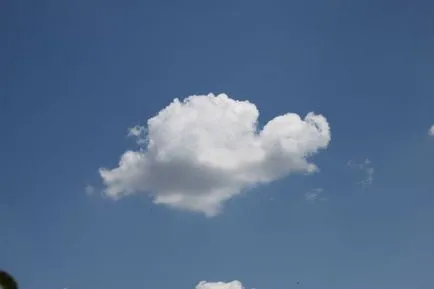 Какво обичате