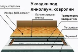 Hogyan tegye linóleum rendesen