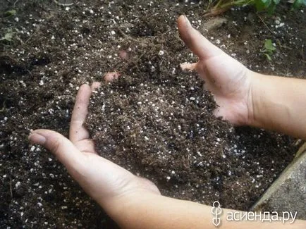11 Váratlan komponensek műtrágyák