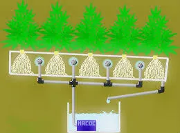 Какво е aeroponics и как да направите свои собствени ръце 20 април време