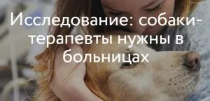 Какво е catsan® грижи за домашните любимци KBr (catsan) Какво е catsan® домашен любимец KBr грижи