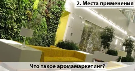 Какво е Aromamarketing и как да го използвате