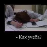 Какво е зелено и лети (тя лети зелени домати