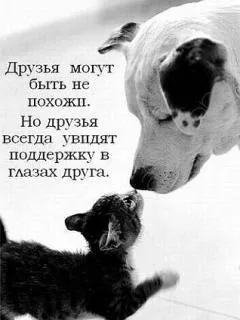 Какво означава това - на всеки