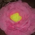 Aster цвете от гофрирана хартия
