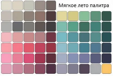 Tsvetotip лятото (снимки)
