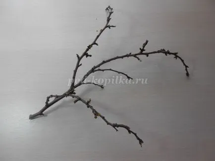 Blooming череша клонка със собствените си ръце