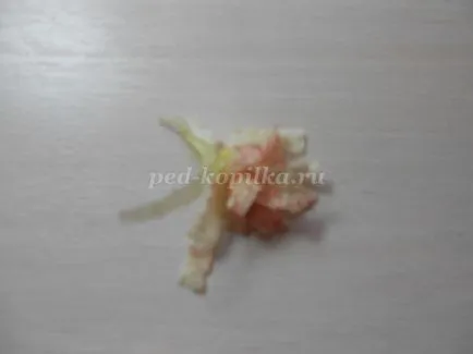 Blooming череша клонка със собствените си ръце