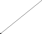 спиращи бактерии