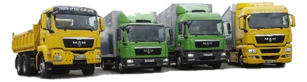 Диагноза товарни автомобили Mans