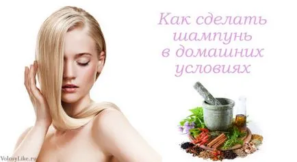 Домашни любимци шампоани за коса - най-добрите рецепти и мнения