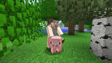Защо и как да се направи седалката в Minecraft