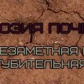 Има ли глобално затопляне и дали то е причинено от човешката дейност