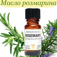 прилагане розмарин етерично масло и свойствата (масло) Етерично масло от розмарин и прилагане свойства