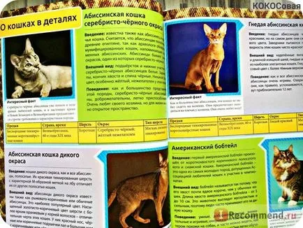 Енциклопедия на Cat