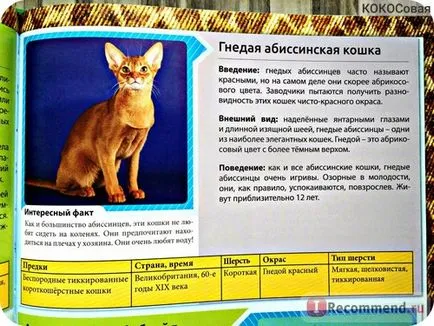 Енциклопедия на Cat