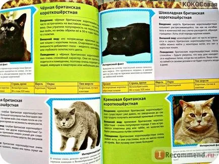 Енциклопедия на Cat
