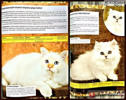 Енциклопедия на Cat