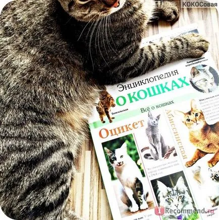 Енциклопедия на Cat