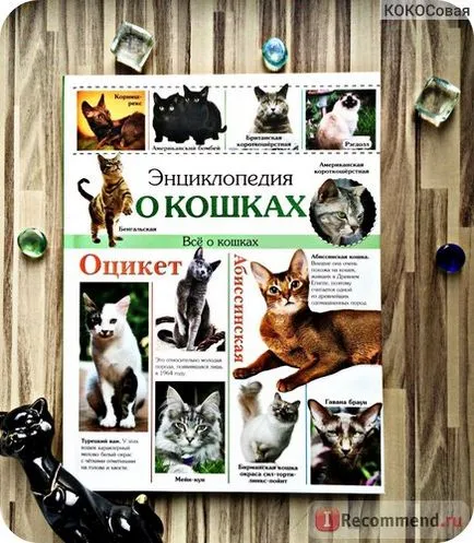Енциклопедия на Cat