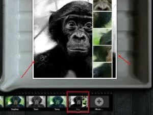 Филтри и ефекти към снимки в Instagram онлайн фото редактор (Ефекти Instagram Instagram за обработка на онлайн фото редактор колаж редактор фото ефекти) Филтри и ефекти към снимки в Instagram онлайн редактор снимка