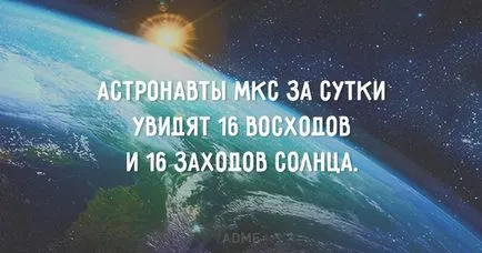 Всичко е случва на място само за един ден