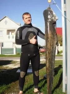 Къде и как да се търси сом, риба заедно