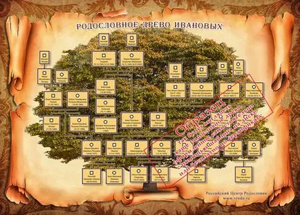 Family Tree безплатно
