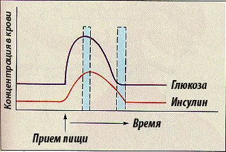 Хормонът инсулин - всичко, което трябва да знаете, за да отслабнете или тегло комплект (задължително) Хормонът инсулин - всичко, което трябва да знаете, за да отслабнете или тегло комплект