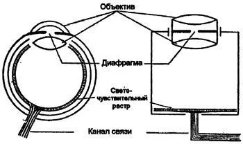 Окото като оптичен инструмент