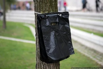 Сити, удобен за кучета