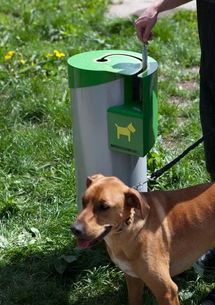 Сити, удобен за кучета