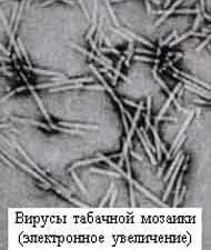 История на откриването на вируси