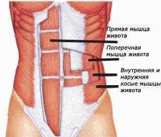 Изтеглянето на новини у дома - правилата, препоръки, видео