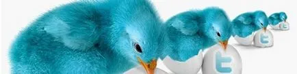 Как бързо да добавите читателите на Twitter