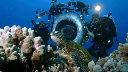 Какво оборудване е необходимо за правене на снимки под вода fotokto