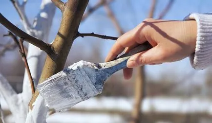 Lime замазване градински дървета, почва за варосване