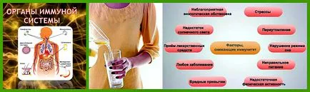 Както можете да снемат имунитета на човешкото тяло
