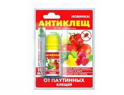 Как да се отървете от акари - означава предотвратяване, наркотици