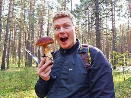 Като отидохме в гората за гъби търси