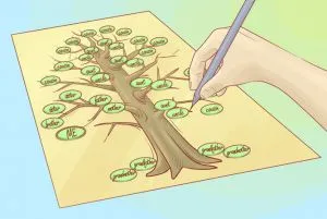 Как да се направи родословно дърво