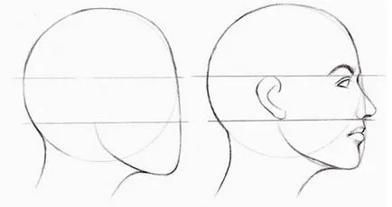 Как да се направи приятелка, lessdraw