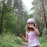 Как да не се изгуби в гората и какво да направите, ако изгуби в гората (загубен) Как да не се изгуби в гората и какво да направите, ако изгуби в гората