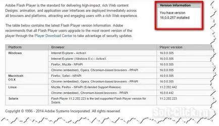 Как да се актуализира правилно Adobe Flash Player