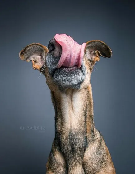 És mi vagyok én, hogy nem a földön, Isten (fényképész Elke Vogelsang) És mi vagyok én, hogy nem a földön, Isten