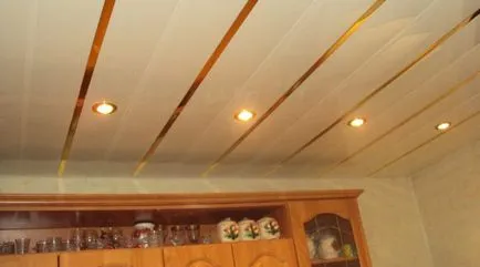 Какво е по-добре за тавана на кухнята с 6 заведения за всеки вкус (40 снимки)