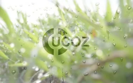 Как да преименувате вашия сайт конструктор ucoz (уебсайт) Как да преименувате вашия сайт конструктор ucoz