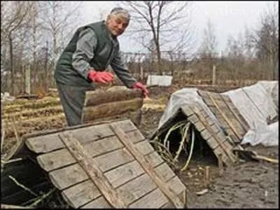 Как да се подготви и да се скрият на розите през зимата - как да видеоклипове изолация