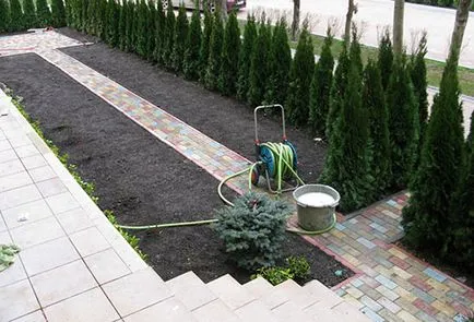 Как да се засадят морава в страната (на тревата със собствените си ръце) Как да се засадят тревата на вилата